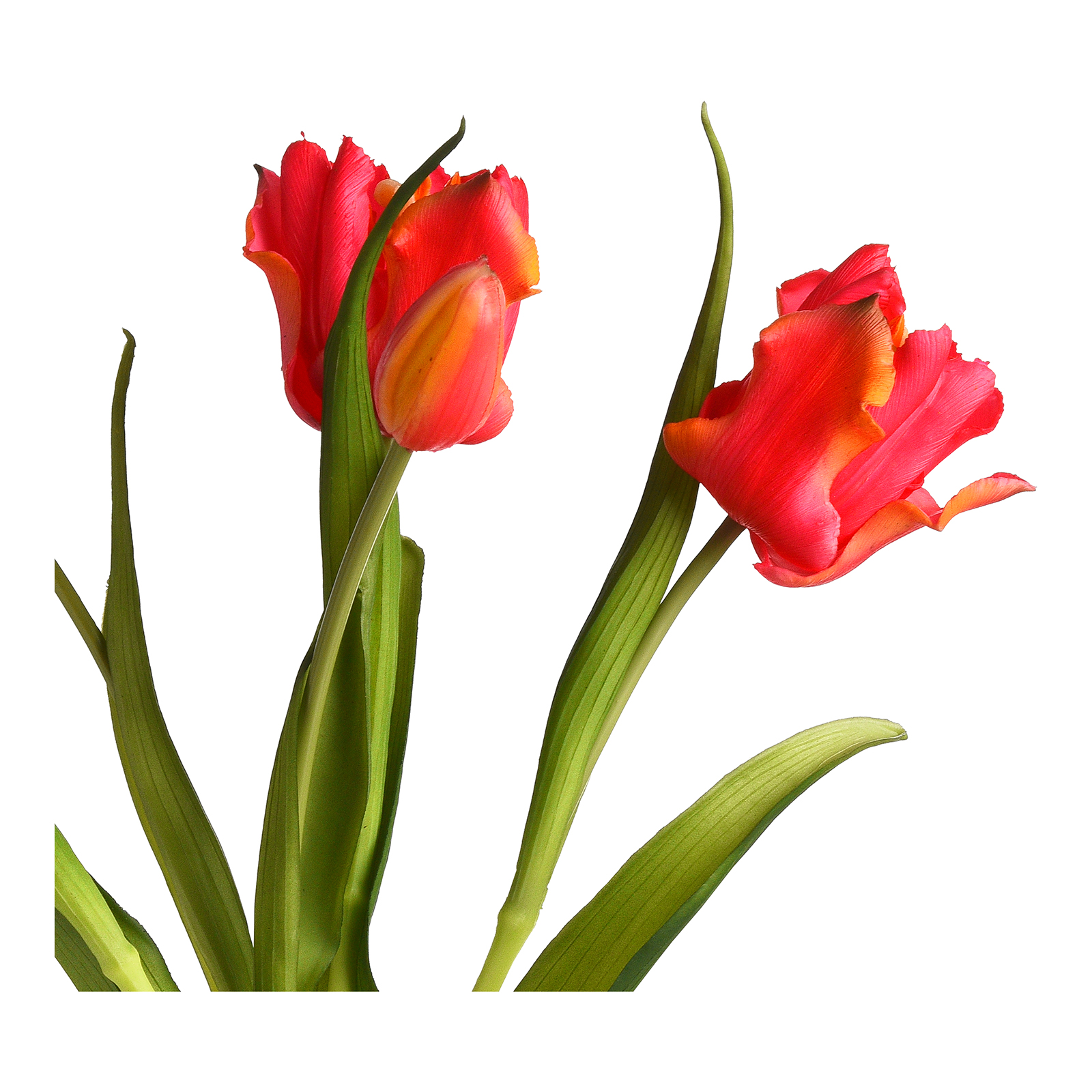 Kunstblumenbund Papageientulpe