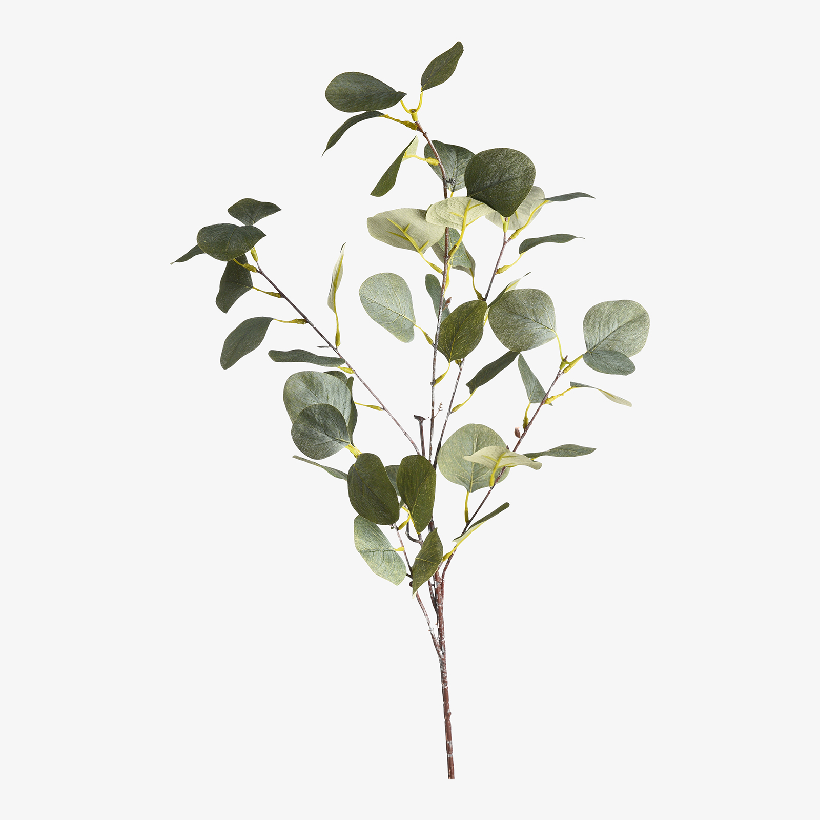 Kunstzweig Eukalyptus