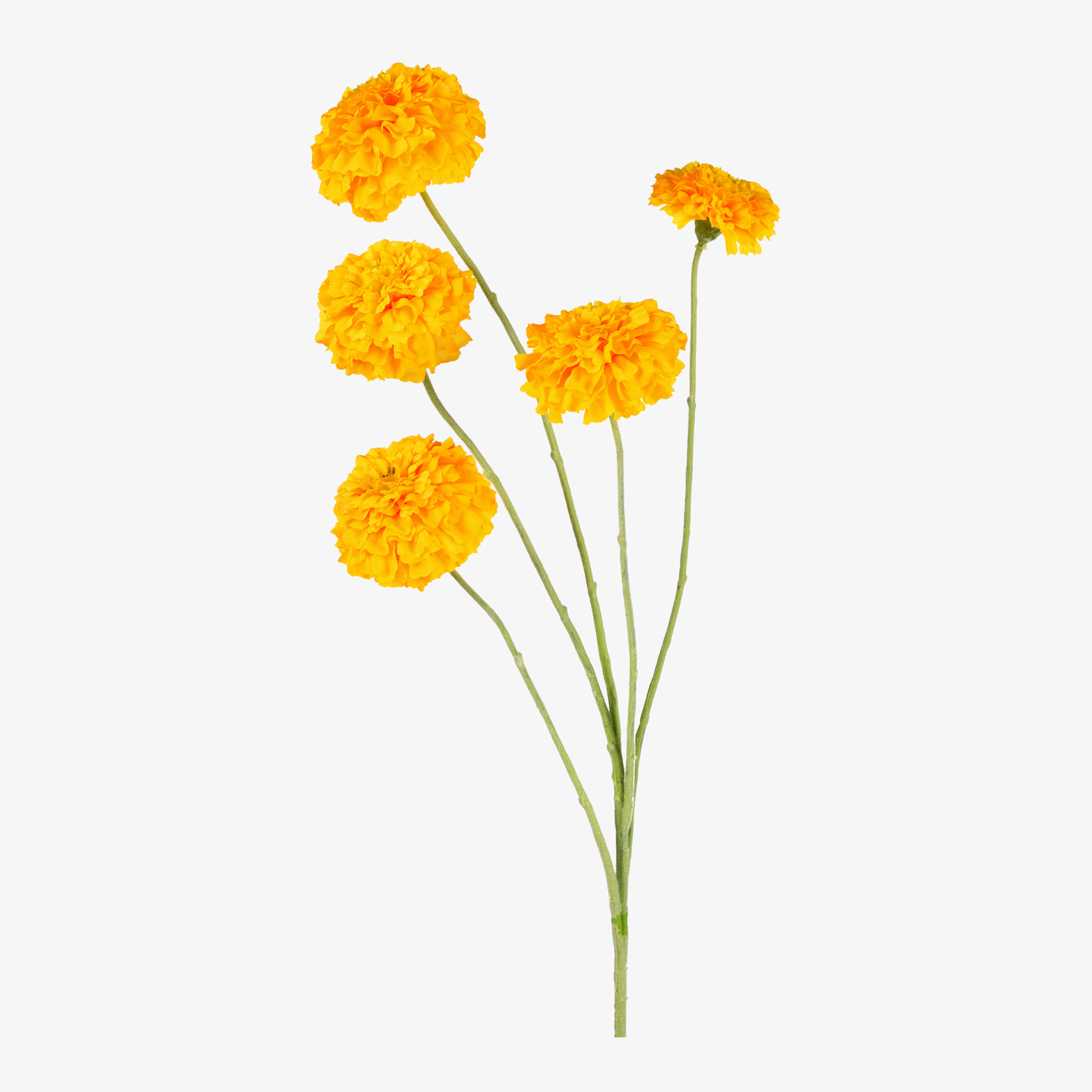 Kunstblume Tagetes