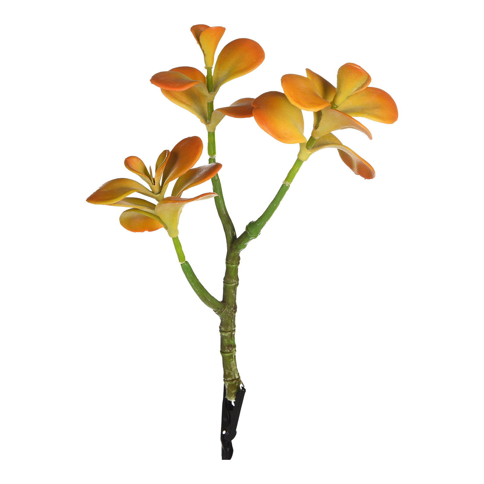 Kunstblume Geldbaum