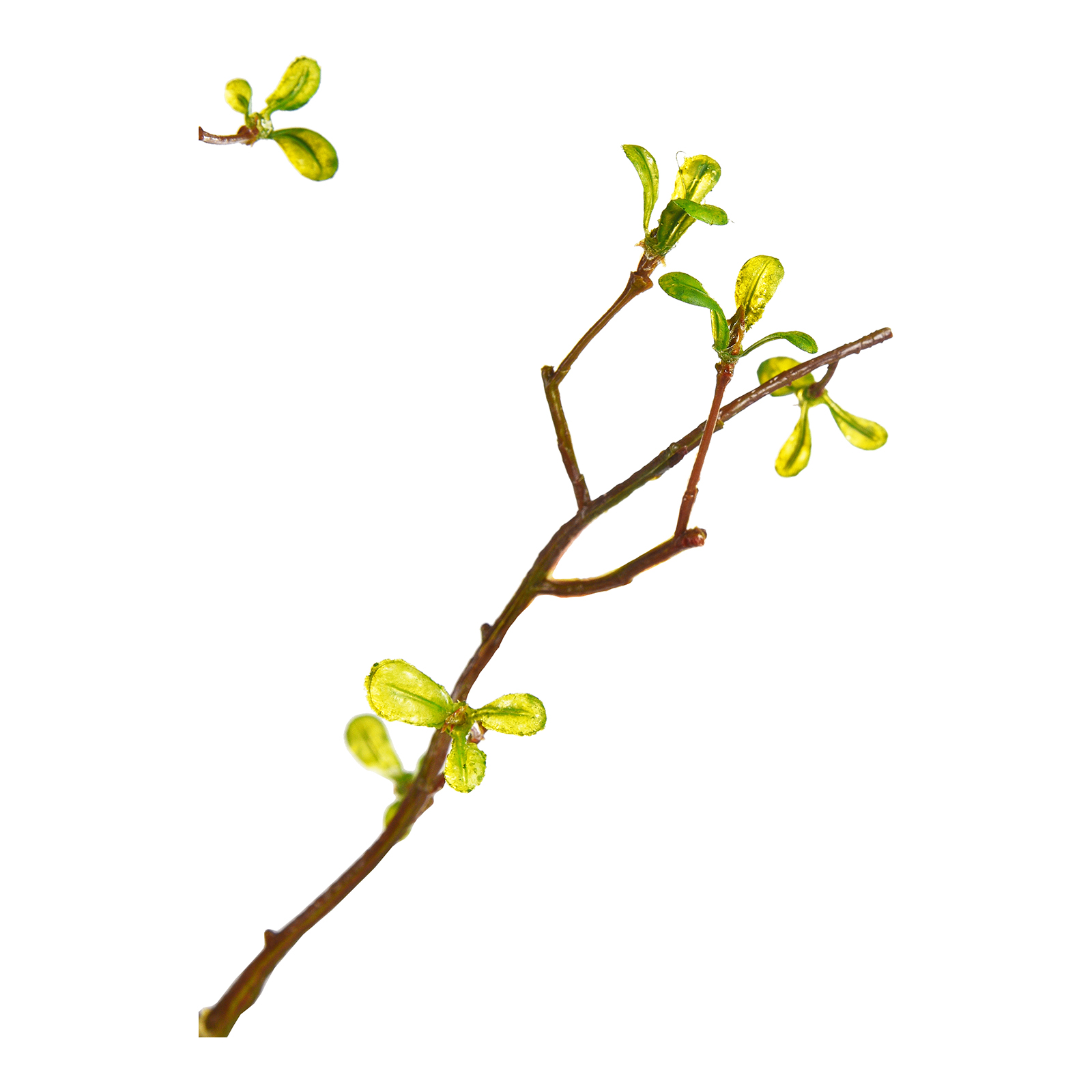 Kunstblumen-Arrangement mit Vase