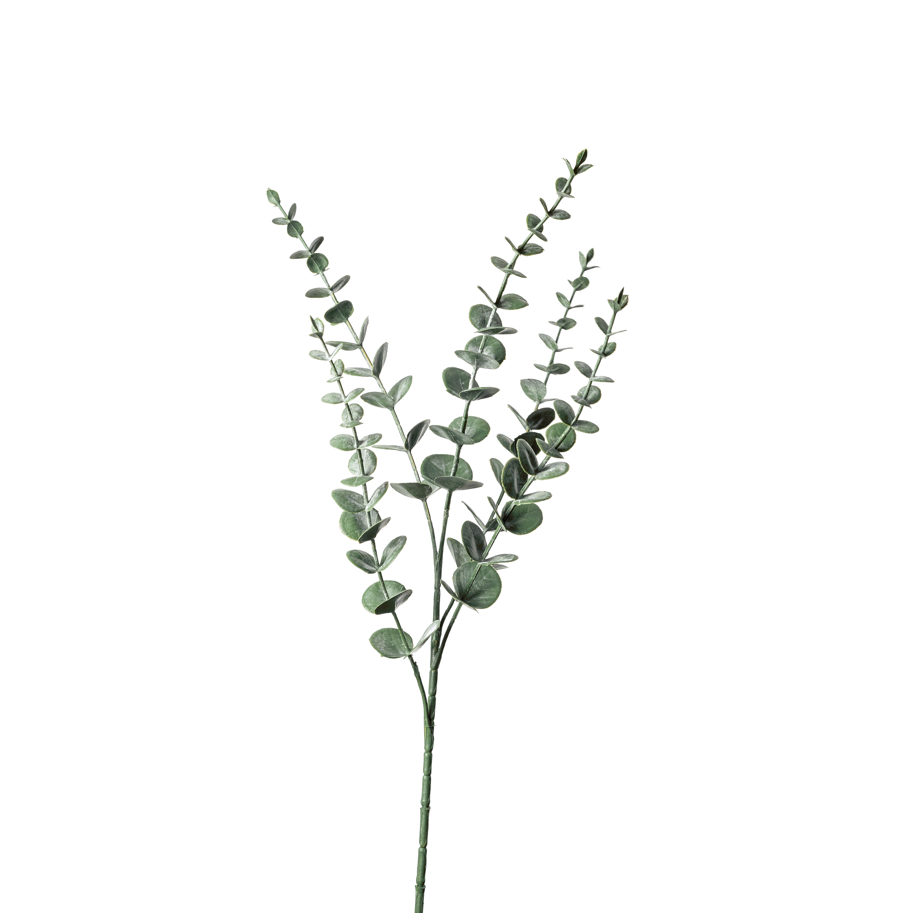 Kunstzweig Eukalyptus