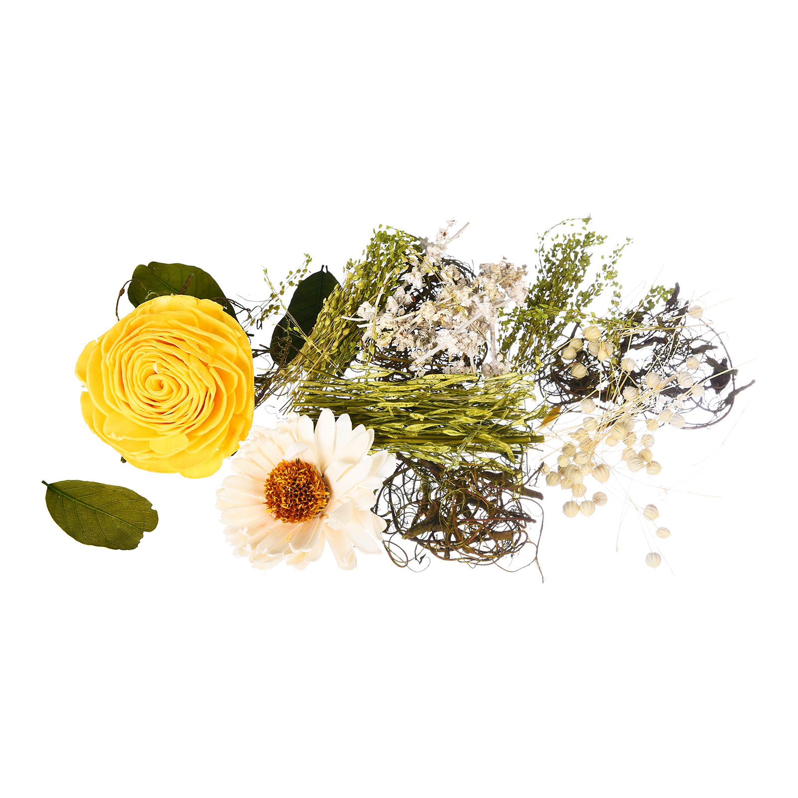 Potpourri Gänseblümchen