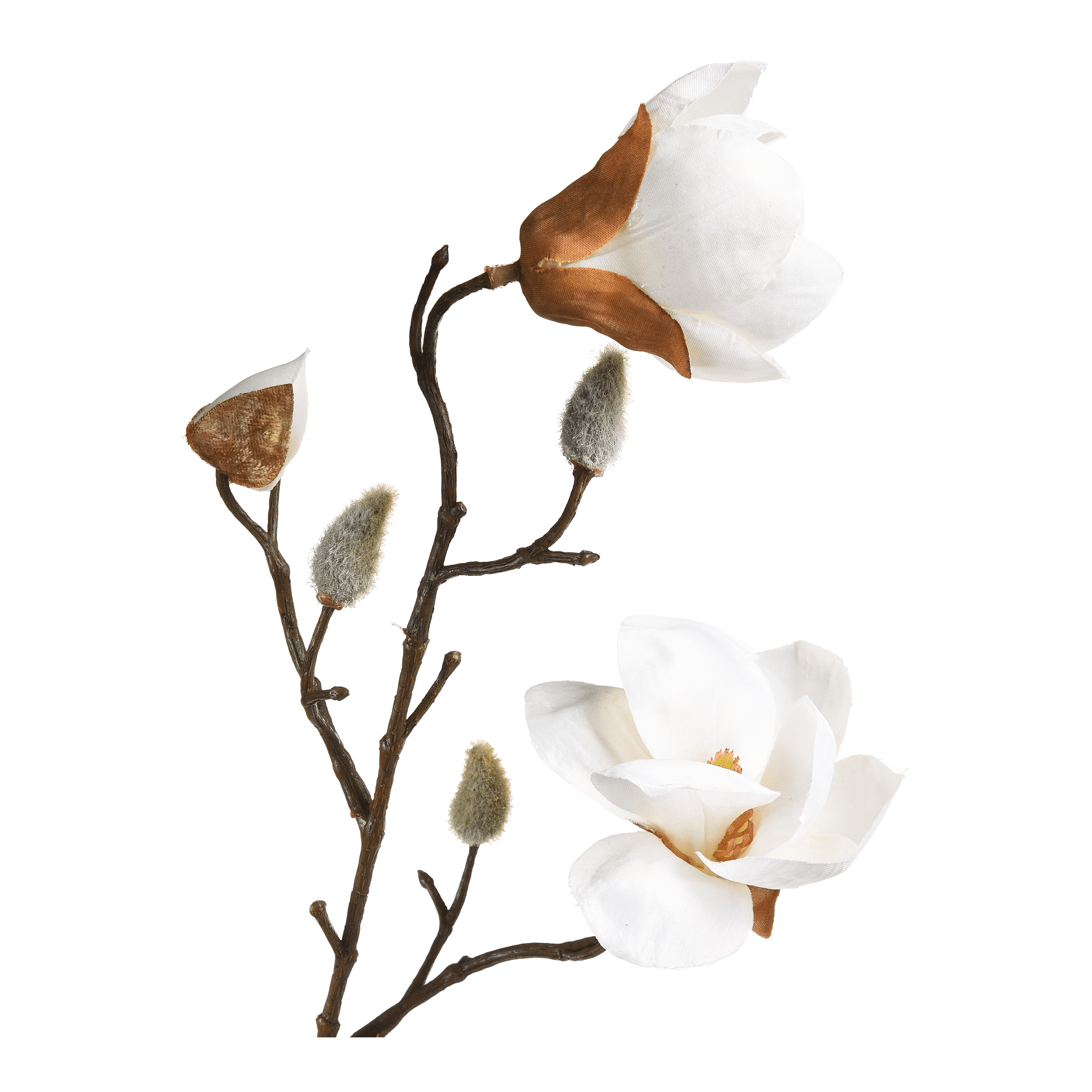 Kunstzweig Magnolie