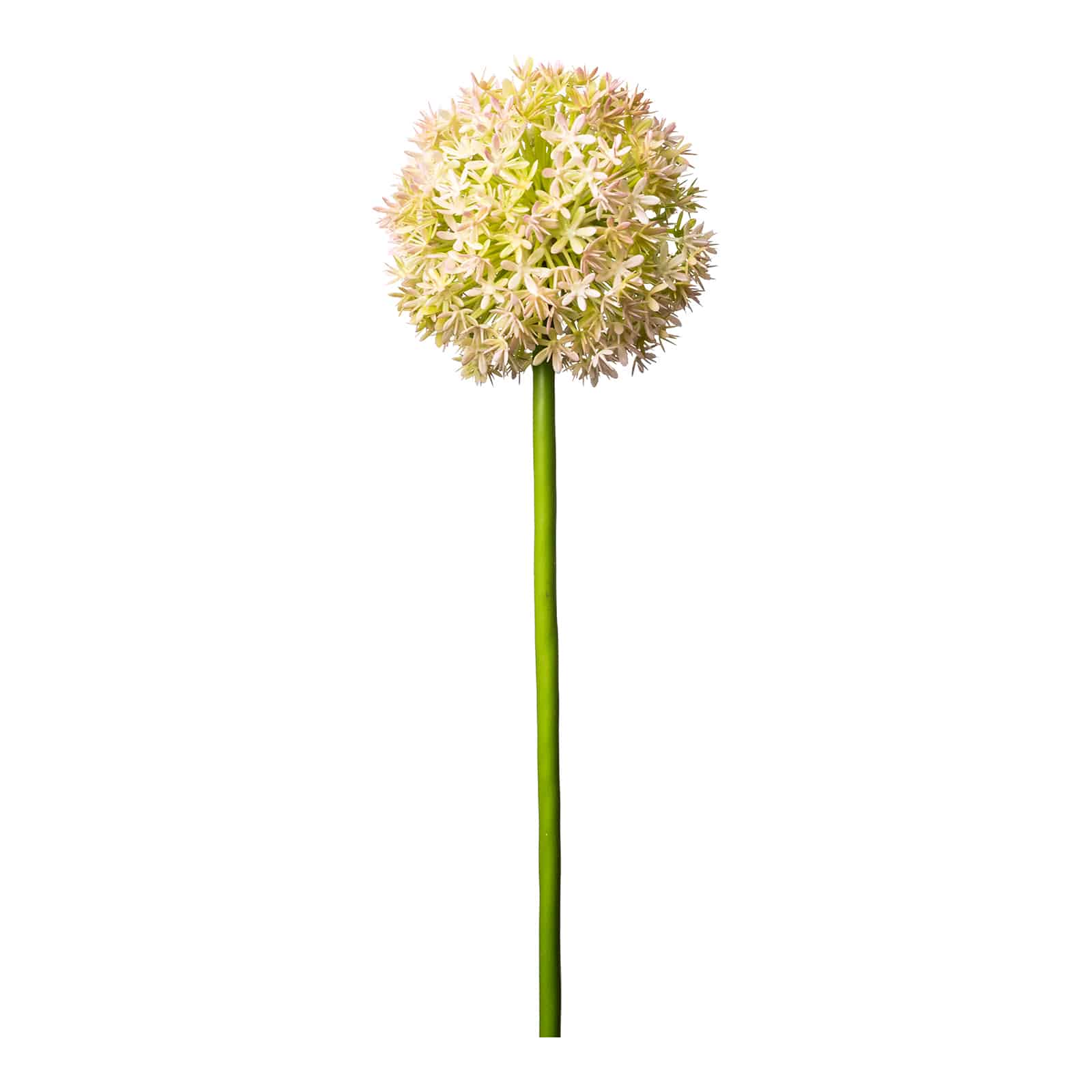 Kunstblume Allium