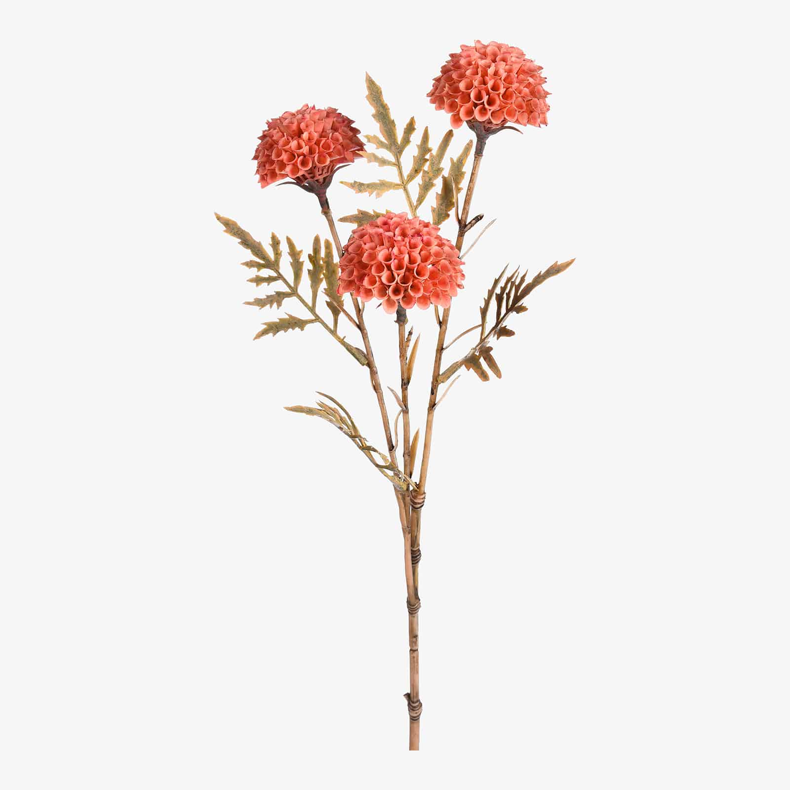 Kunstblume Scabiosa