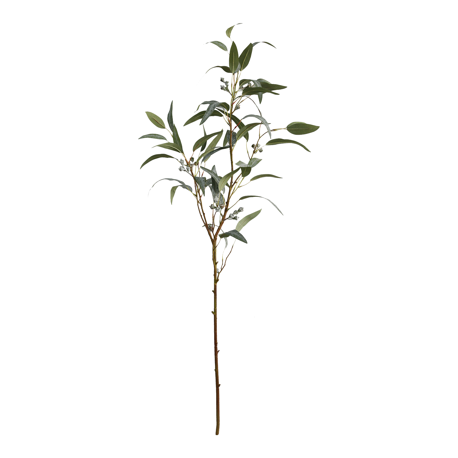 XL-Kunstzweig Eukalyptus