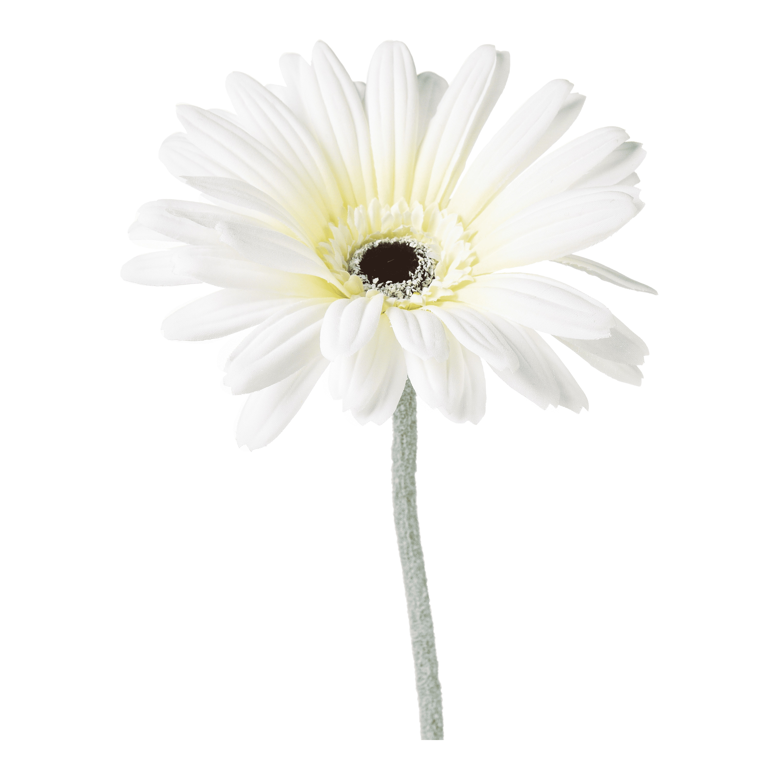 Kunstblume Gerbera