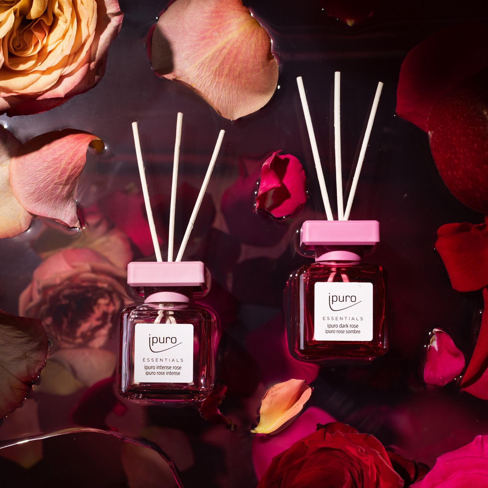 ipuro ESSENTIALS Raumduft-Set Intense Rose & Dark Rose