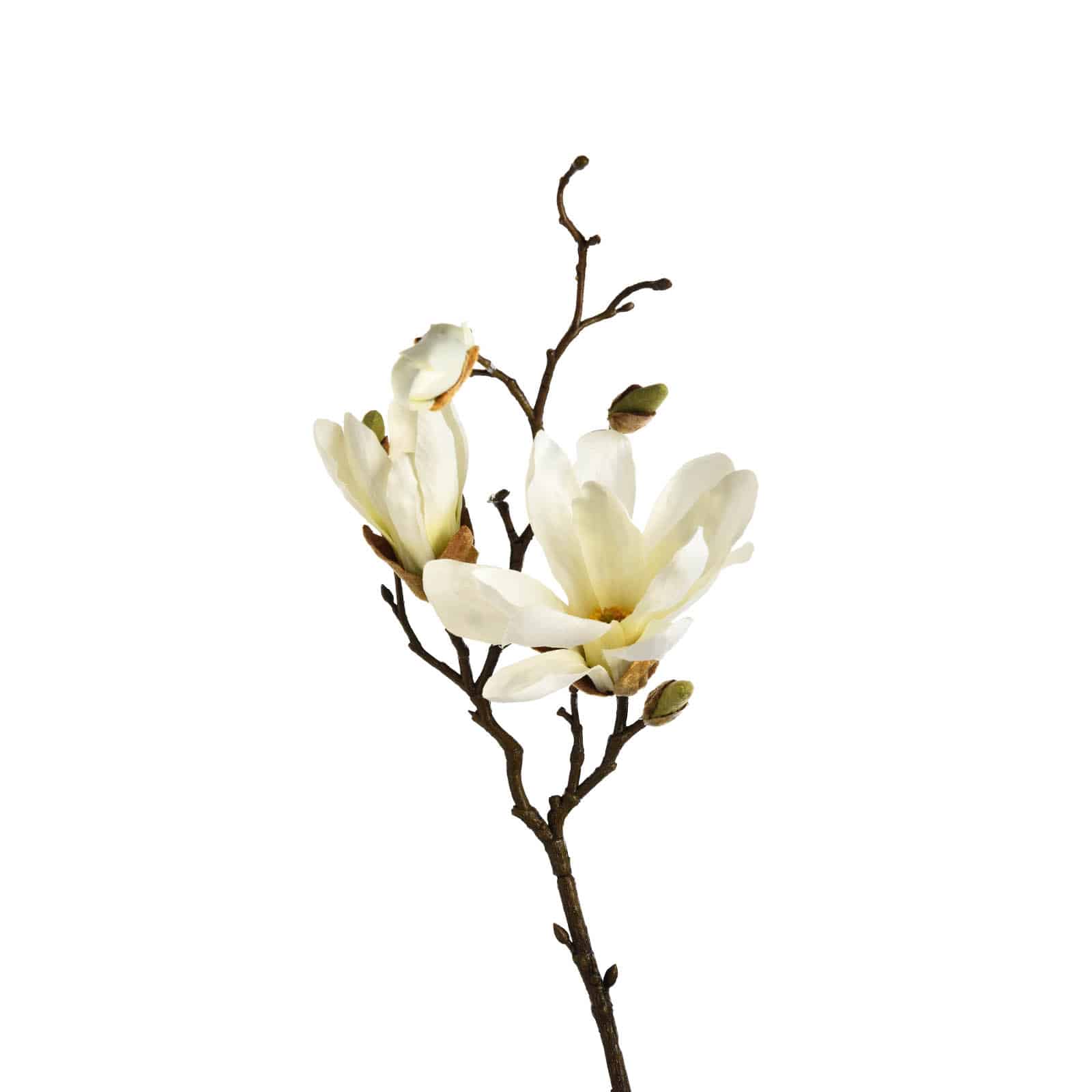 Kunstzweig Magnolie