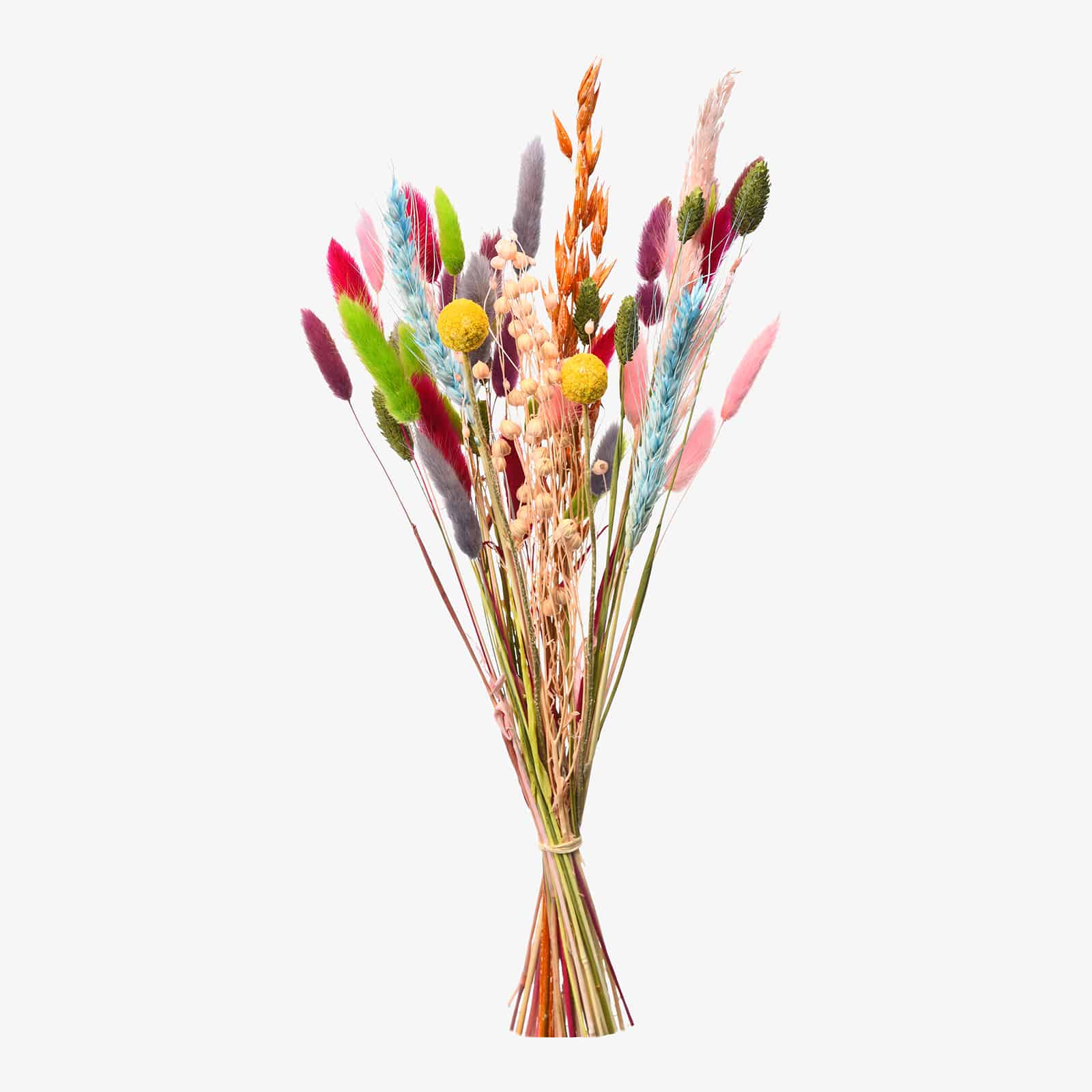 Trockenblumenstrauß Flowermix