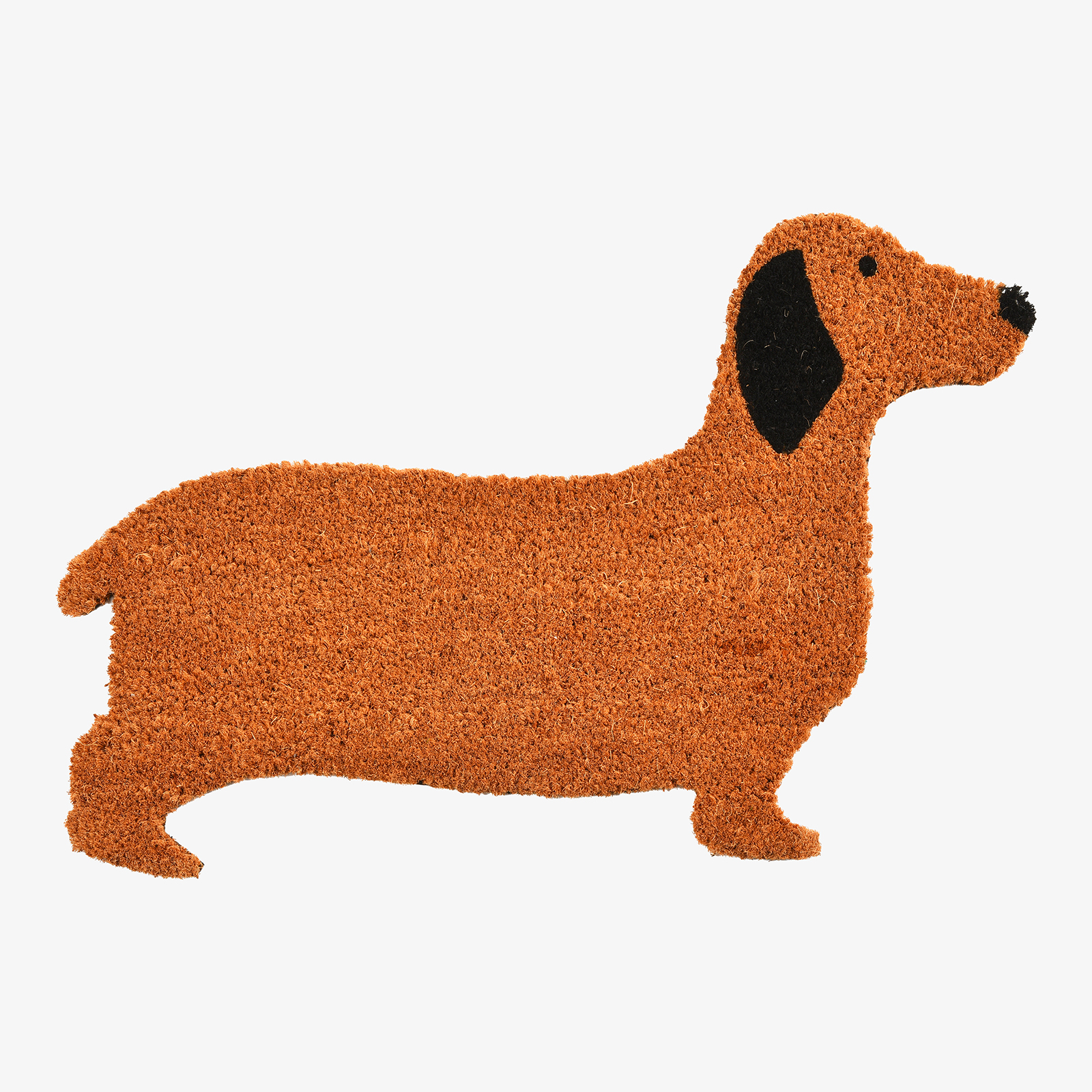 Fußmatte Hund