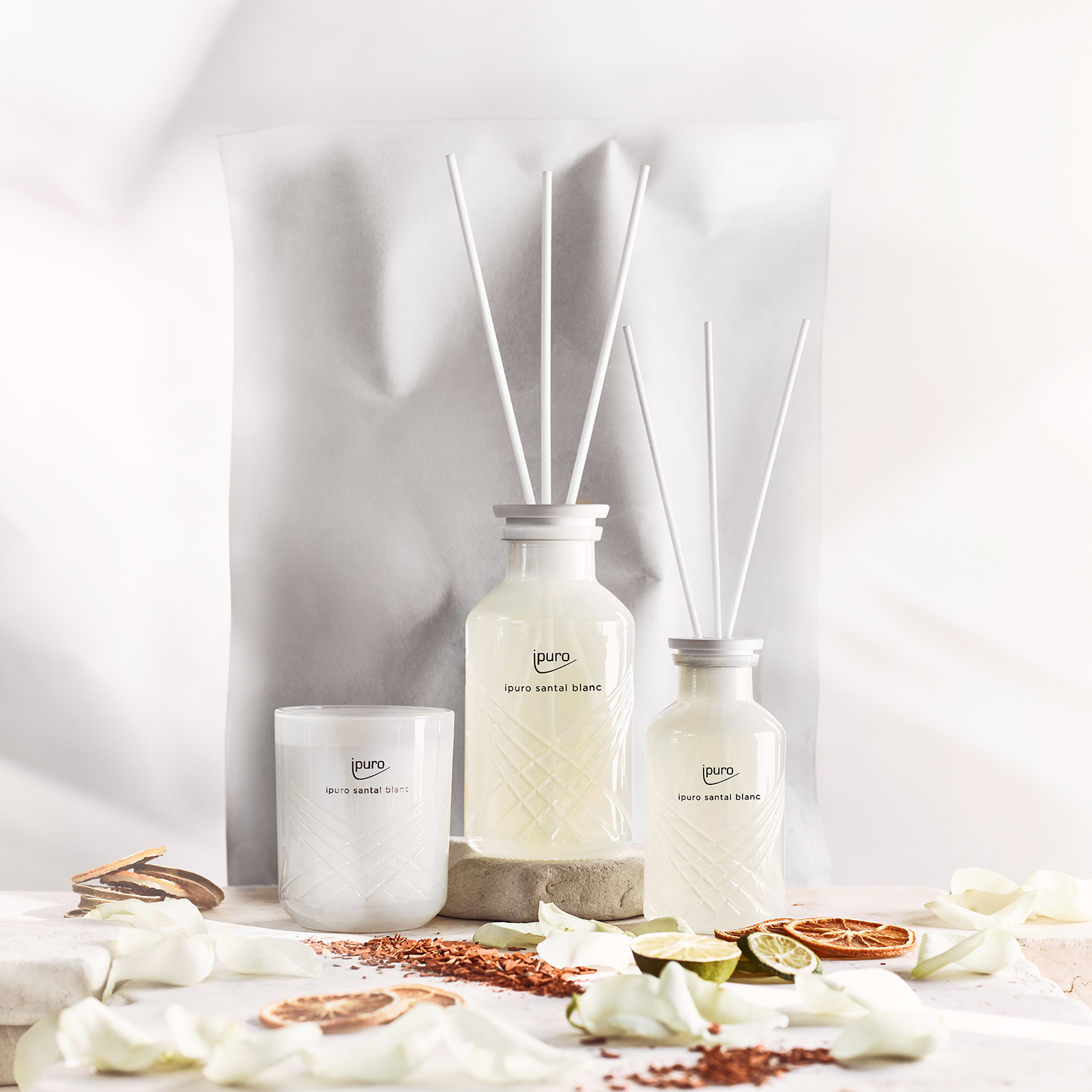 ipuro EXCLUSIVE Duftkerze Santal Blanc