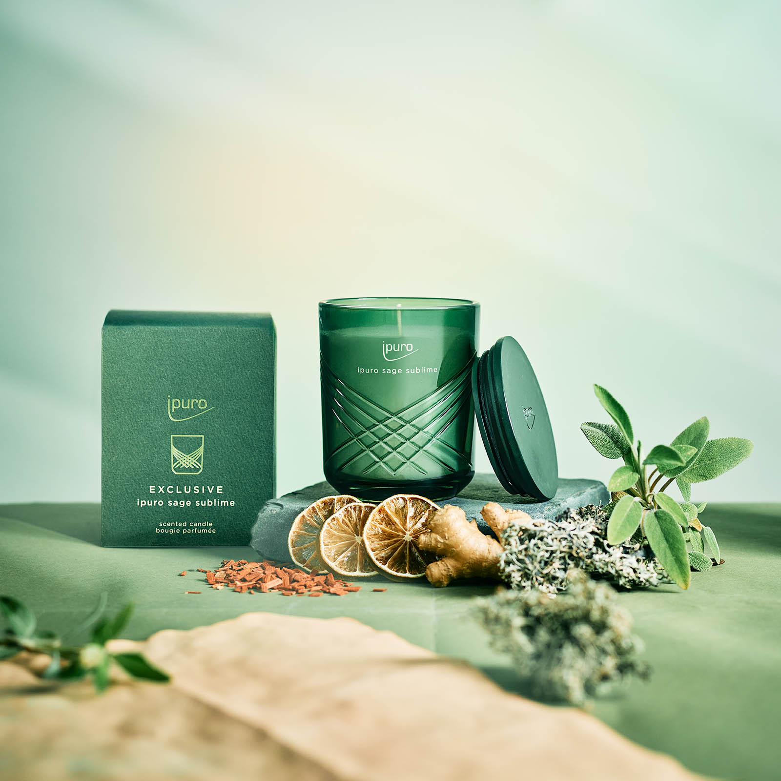 ipuro EXCLUSIVE Duftkerze Sage Sublime