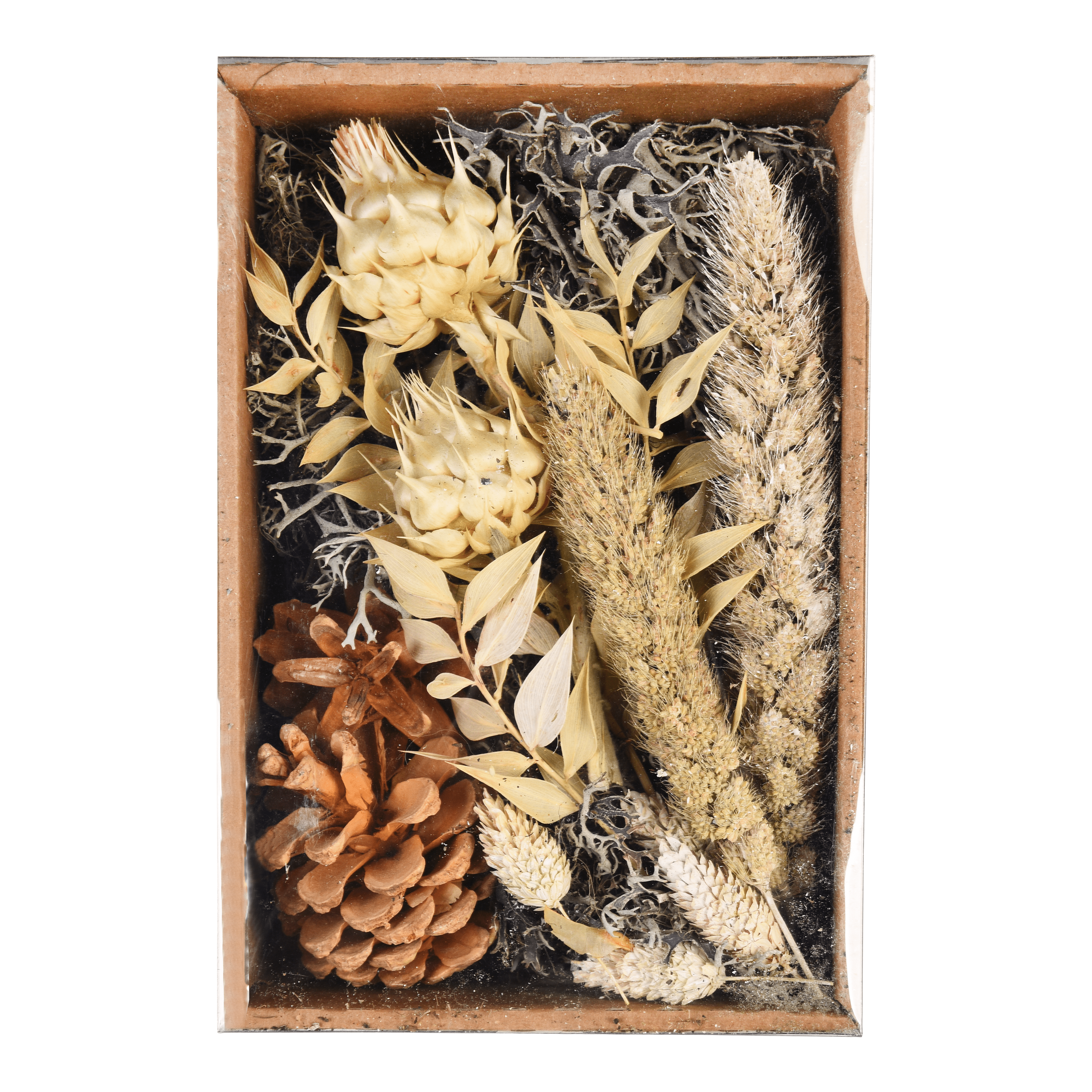 Potpourri Natural