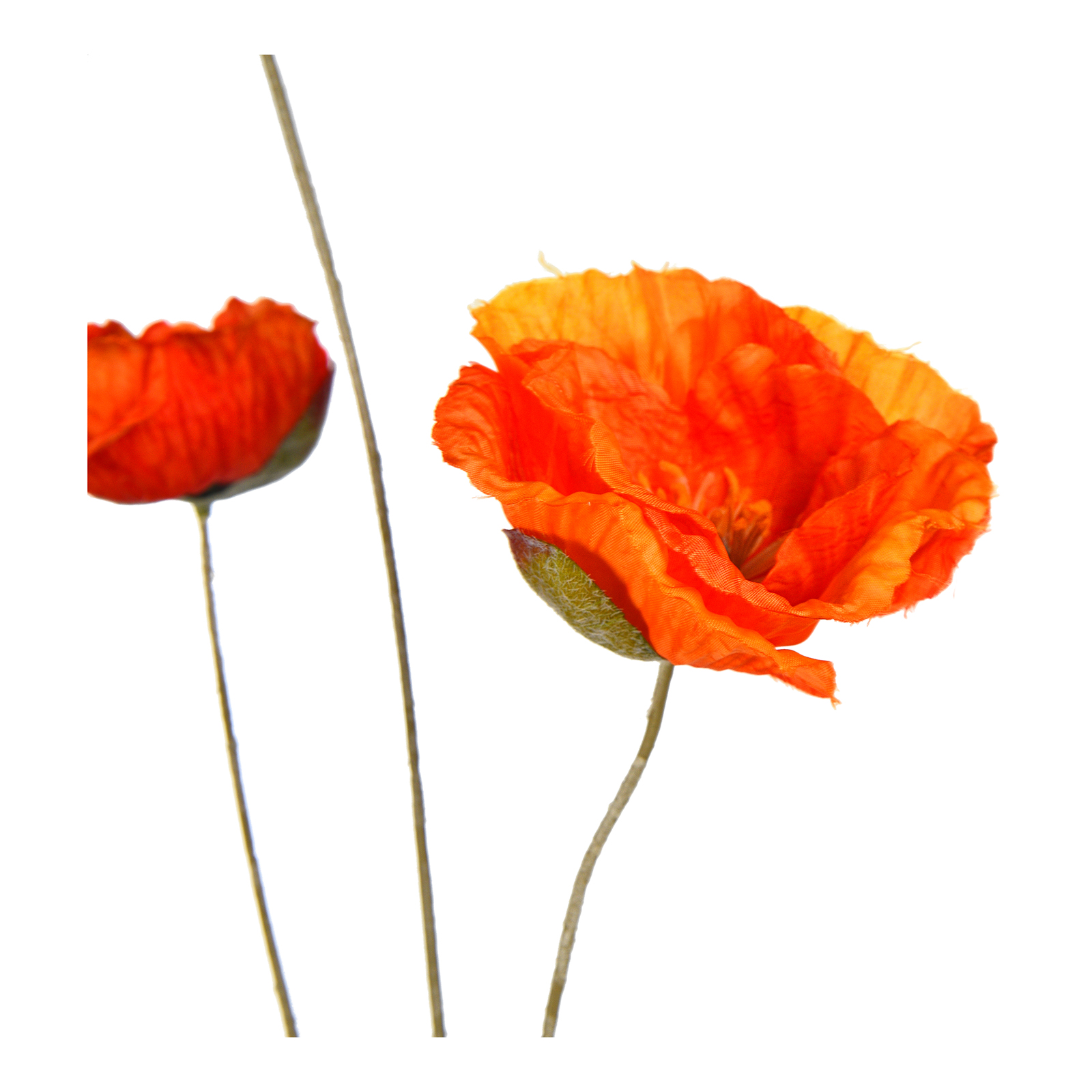 Kunstblume Mohn